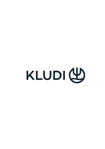 Kludi